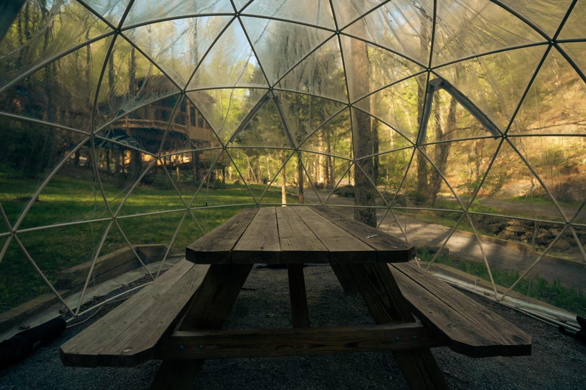 개틀린버그 The Dogwood In Treehouse Grove At Norton Creek 빌라 외부 사진