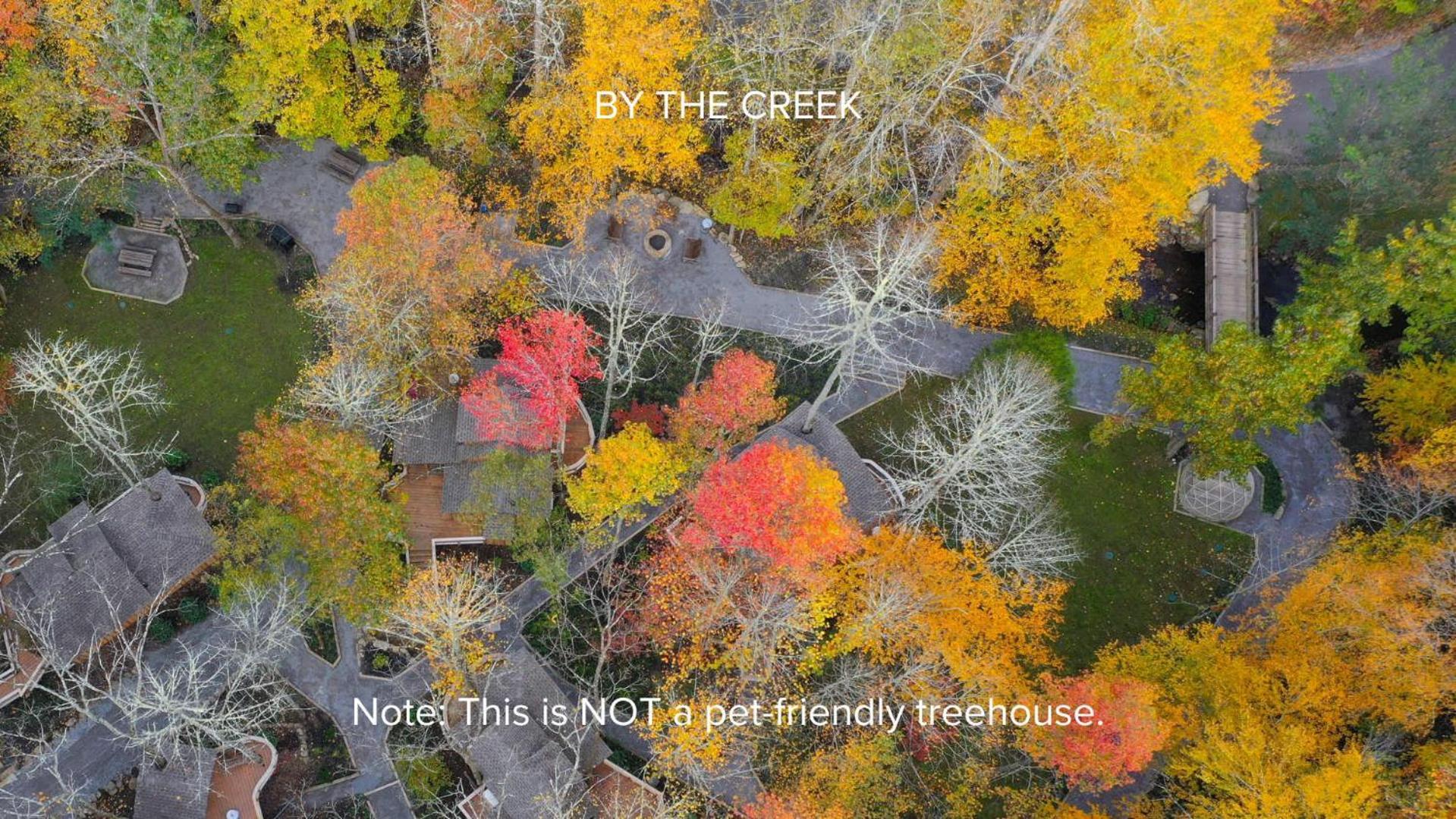 개틀린버그 The Dogwood In Treehouse Grove At Norton Creek 빌라 외부 사진